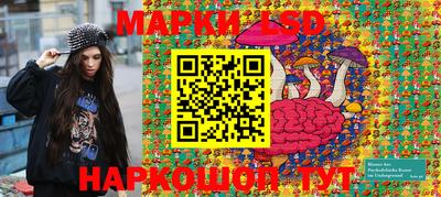 СК Донецк
