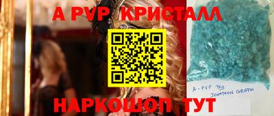 СК Донецк
