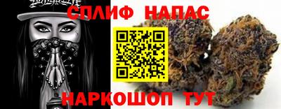 СК Донецк
