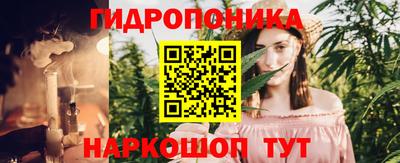 дмт Дубна