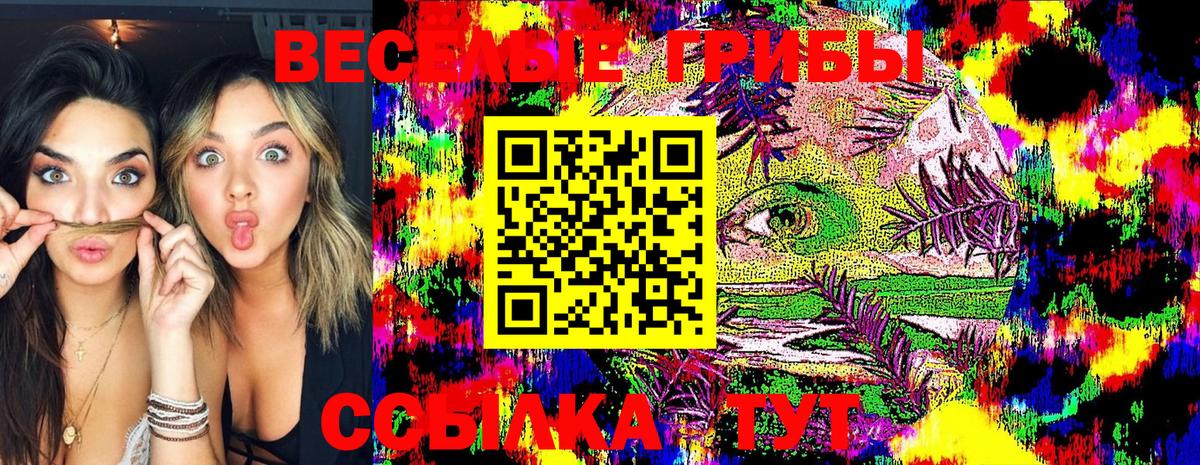 Псилоцибиновые грибы Psilocybe  Вход с VPN  Дзержинск 